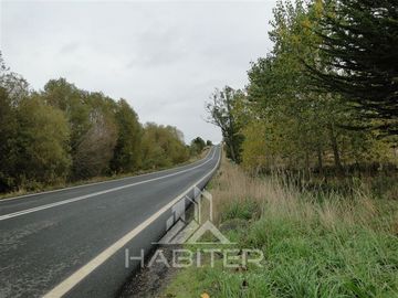 Parcela en Venta en Sector Loncotoro ,a 11 Km de Llanquihue -.
