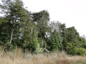 Parcela en Venta en Sector Loncotoro ,a 11 Km de Llanquihue -.
