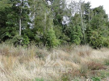 Parcela en Venta en Sector Loncotoro ,a 11 Km de Llanquihue -.