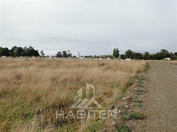 Parcela en Venta en Sector Loncotoro ,a 11 Km de Llanquihue -.