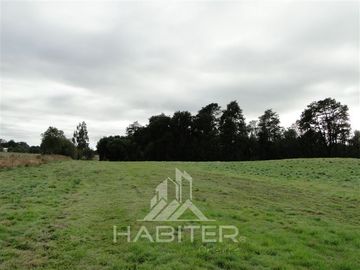 Parcela en Venta en Sector Loncotoro ,a 11 Km de Llanquihue -.