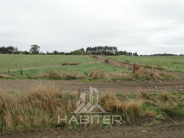 Parcela en Venta en Sector Loncotoro ,a 11 Km de Llanquihue -.