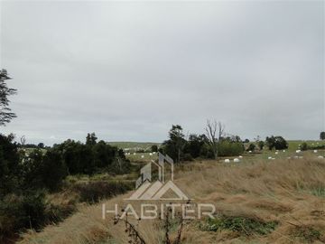 Parcela en Venta en Sector Loncotoro ,a 11 Km de Llanquihue -.