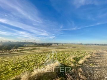 Parcela en Venta en Sector Loncotoro ,a 11 Km de Llanquihue -.