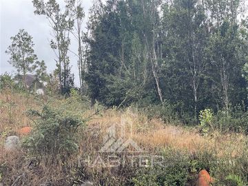 Parcela en Venta en A 20 minutos de puerto varas