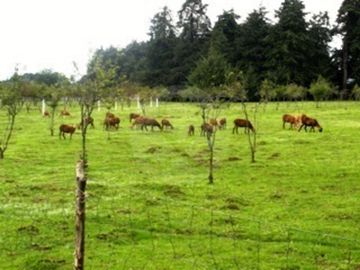 Finca en venta en Toluca