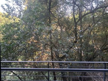 Afinia  Departamento en venta en Olivar de los Padres
