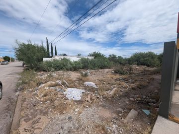 TERRENO EN VENTA EN ALAMEDAS EN CUENCAME DE CENICEROS DURANGO