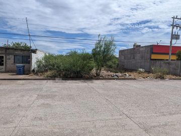 TERRENO EN VENTA EN ALAMEDAS EN CUENCAME DE CENICEROS DURANGO