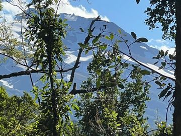 Lindo terreno en Reserva biológica Huilo Huilo