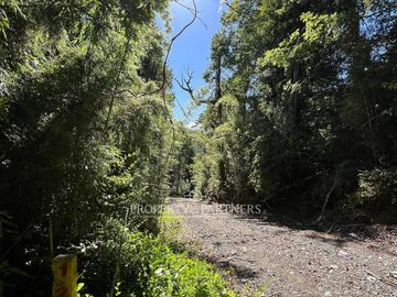 Terreno con vista al volcán y bosque en Reserva biológica Huilo Huilo