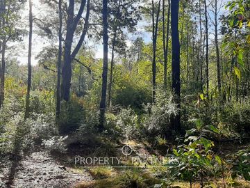 Precioso terreno con estero y bosque nativo en Panguilelfun