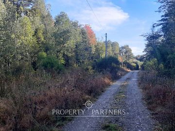 Precioso terreno con estero y bosque nativo en Panguilelfun