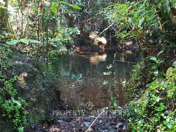 Precioso terreno con estero y bosque nativo en Panguilelfun