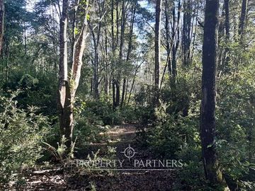 Precioso terreno con estero y bosque nativo en Panguilelfun