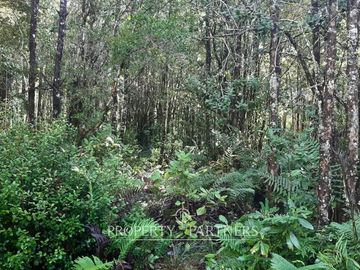 Precioso terreno con estero y bosque nativo en Panguilelfun