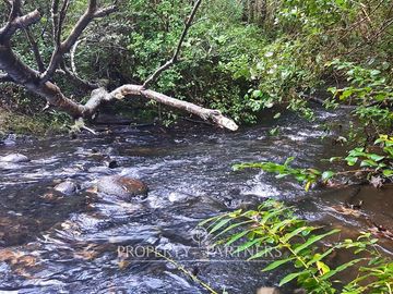 Precioso terreno con estero y bosque nativo en Panguilelfun