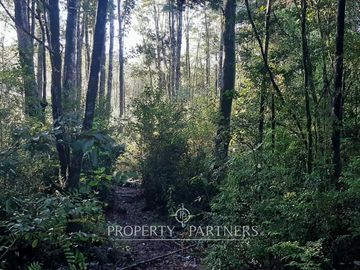 Precioso terreno con estero y bosque nativo en Panguilelfun