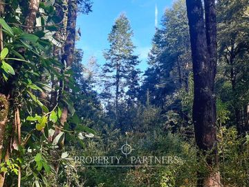 Precioso terreno con estero y bosque nativo en Panguilelfun