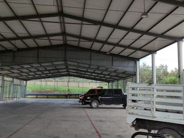 Empacadora de fruta y más de 3 hectareas de mango en las Varas, Nayarit