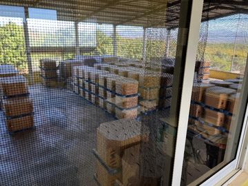 Empacadora de fruta y más de 3 hectareas de mango en las Varas, Nayarit