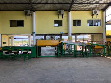 Empacadora de fruta y más de 3 hectareas de mango en las Varas, Nayarit