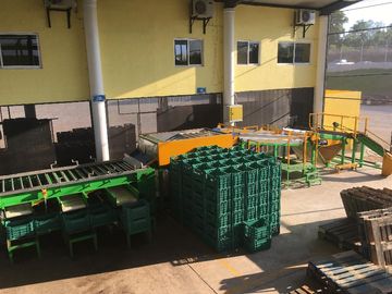Empacadora de fruta y más de 3 hectareas de mango en las Varas, Nayarit