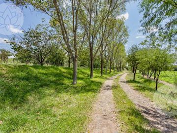 VENTA DE RANCHO EN DOLORES HIDALGO, GUANAJUATO A 20 MINUTOS DE SAN MIGUEL DE ALLENDE