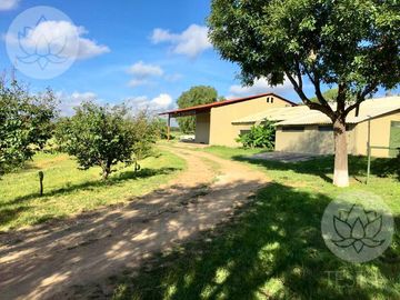 VENTA DE RANCHO EN DOLORES HIDALGO, GUANAJUATO A 20 MINUTOS DE SAN MIGUEL DE ALLENDE