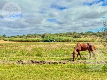 VENTA DE RANCHO EN DOLORES HIDALGO, GUANAJUATO A 20 MINUTOS DE SAN MIGUEL DE ALLENDE