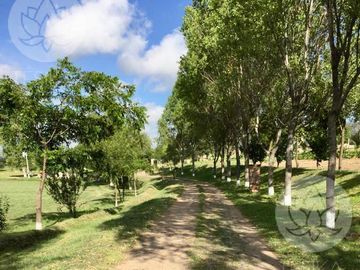 VENTA DE RANCHO EN DOLORES HIDALGO, GUANAJUATO A 20 MINUTOS DE SAN MIGUEL DE ALLENDE