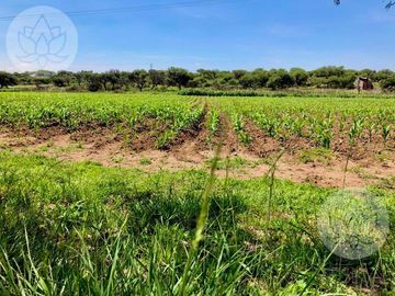 VENTA DE RANCHO EN DOLORES HIDALGO, GUANAJUATO A 20 MINUTOS DE SAN MIGUEL DE ALLENDE