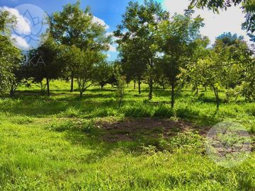VENTA DE RANCHO EN DOLORES HIDALGO, GUANAJUATO A 20 MINUTOS DE SAN MIGUEL DE ALLENDE