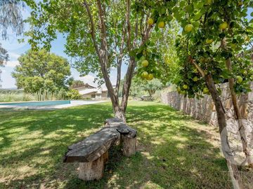 VENTA DE RANCHO EN DOLORES HIDALGO, GUANAJUATO A 20 MINUTOS DE SAN MIGUEL DE ALLENDE