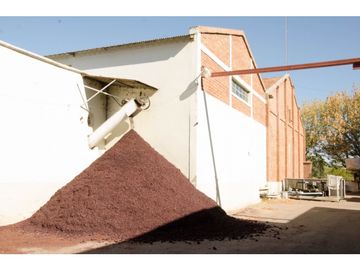 BODEGA, FINCA OPORTUNIDAD SAN RAFAEL