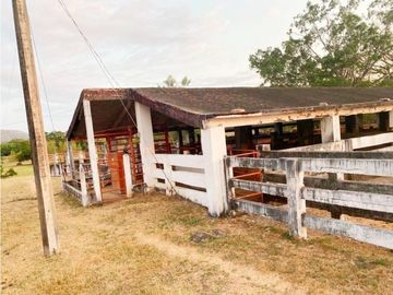 IMPRESIONANTE RANCHO EN MANUEL AVILA CAMACHO - TONAL