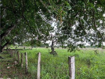 IMPRESIONANTE RANCHO EN MANUEL AVILA CAMACHO - TONAL