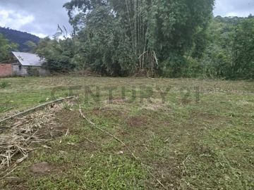 se vende Terreo en Mindo