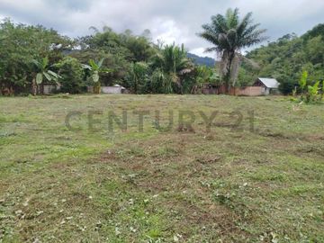 se vende Terreo en Mindo