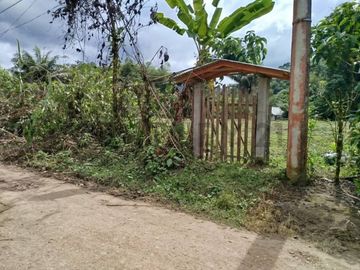 se vende Terreo en Mindo