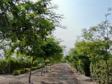 TERRENO EN VENTA UBICADO EN CHINCHA