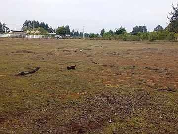 FOCOLARE PROPIEDADES VENDE TERRENO