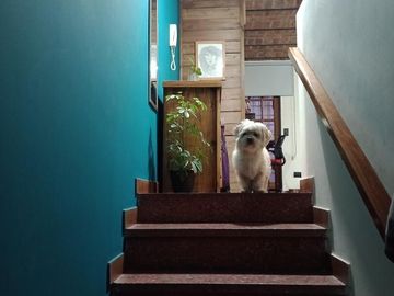 Departamento en venta - 1 Dormitorio 1 Baño - 100Mts2 - Quilmes