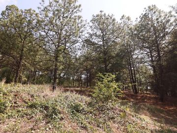 Terreno en venta en Morelia, Pontezuelas