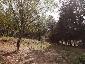 Terreno en venta en Morelia, Pontezuelas