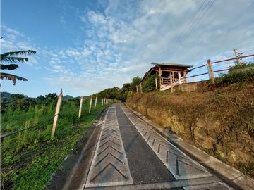 VENTA FINCA TURISMO PLANTACION CAFETERA VERGARA CUNDINAMARCA