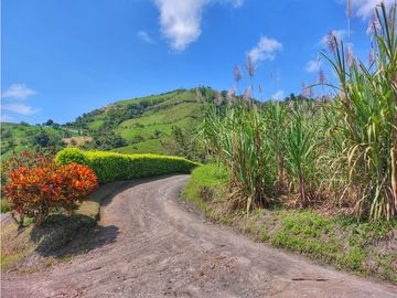 VENTA FINCA TURISMO PLANTACION CAFETERA VERGARA CUNDINAMARCA
