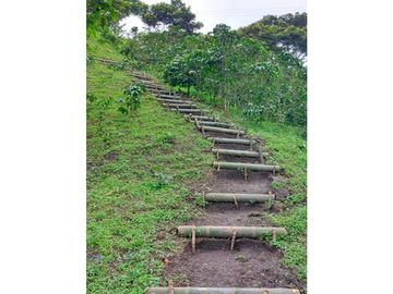 VENTA FINCA TURISMO PLANTACION CAFETERA VERGARA CUNDINAMARCA