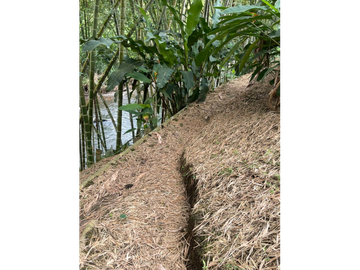 Hermosa finca con linderos del rio Barbas en la Ulloa Valle y Alcala