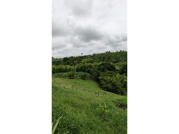 Hermosa finca con linderos del rio Barbas en la Ulloa Valle y Alcala